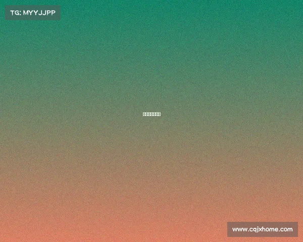 芝加哥公牛比赛